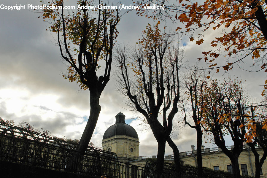 People, Person, Human, Architecture, Dome, Plant, Tree