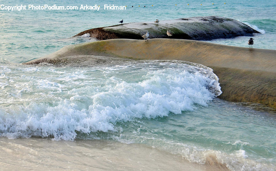 Outdoors, Sea, Sea Waves, Water, Beach, Coast, Ocean