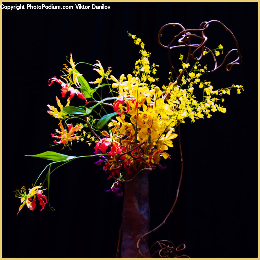 Floral Design, Flower, Flower Arrangement, Flower Bouquet, Ikebana, Plant, Potted Plant