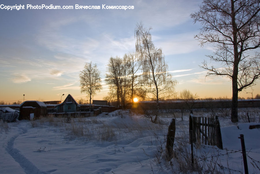 Fence, Arctic, Snow, Winter, Landscape, Nature, Scenery