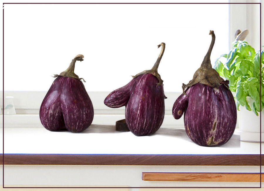 Eggplant, Plant, Produce, Vegetable, Fig, Garlic, Turnip