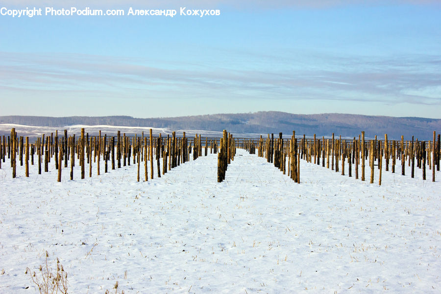 Field, Grass, Grassland, Plant, Ice, Outdoors, Snow