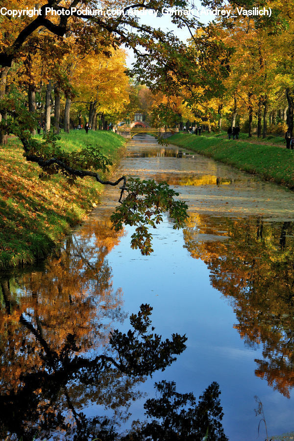 Outdoors, Pond, Water, River, Creek, Park, Blossom