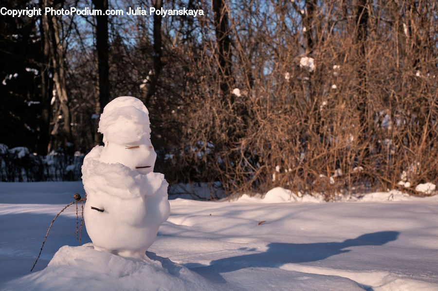 Ice, Snow, Snowman, Winter, People, Person, Human