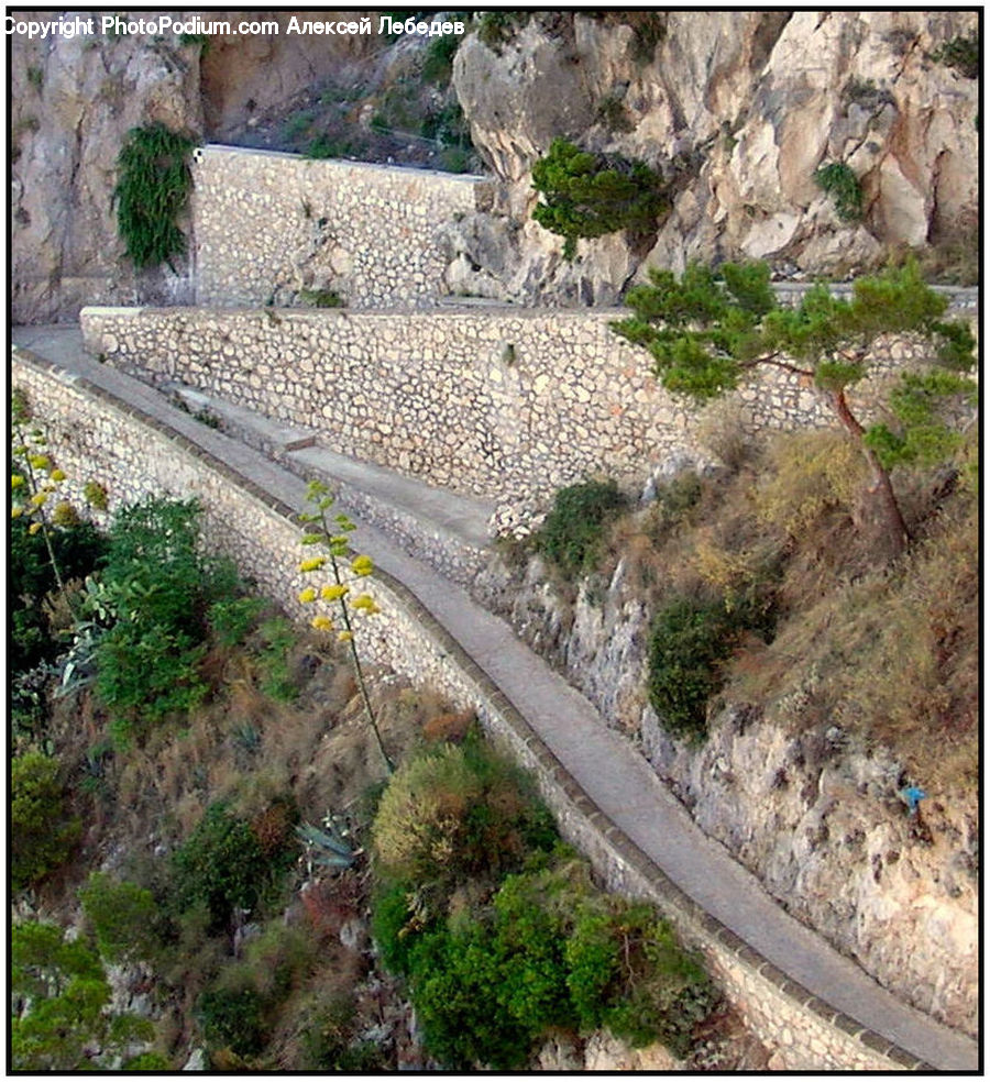 Landslide, Dirt Road, Gravel, Road, Cliff, Outdoors, Plant