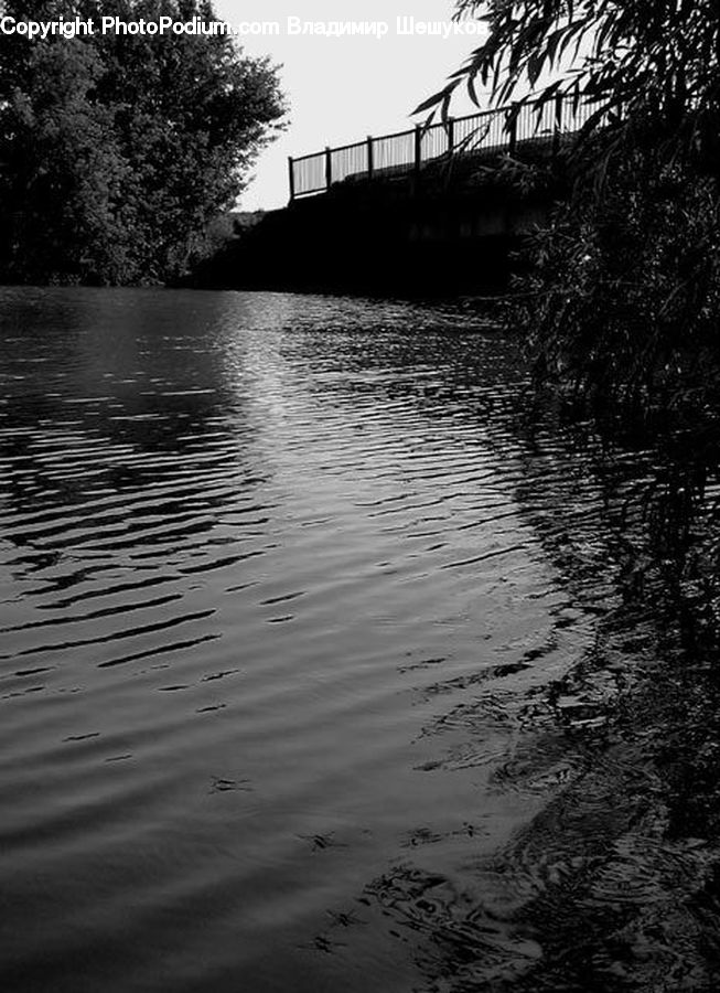 Water, Bridge, Outdoors, Ripple, Plant, Potted Plant, Tree