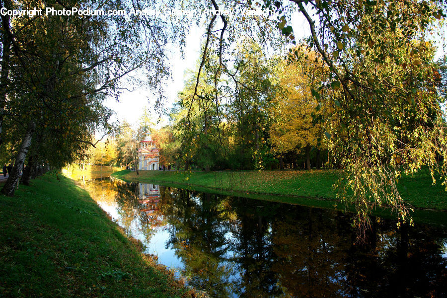 Canal, Outdoors, River, Water, Pond, Plant, Tree