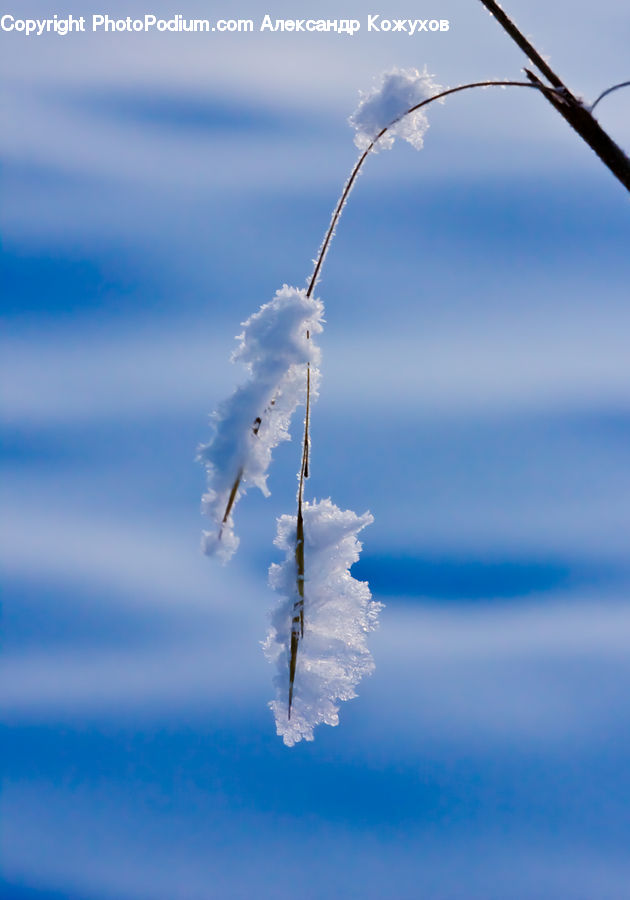 Ice, Icicle, Snow, Winter, Azure Sky, Cloud, Outdoors
