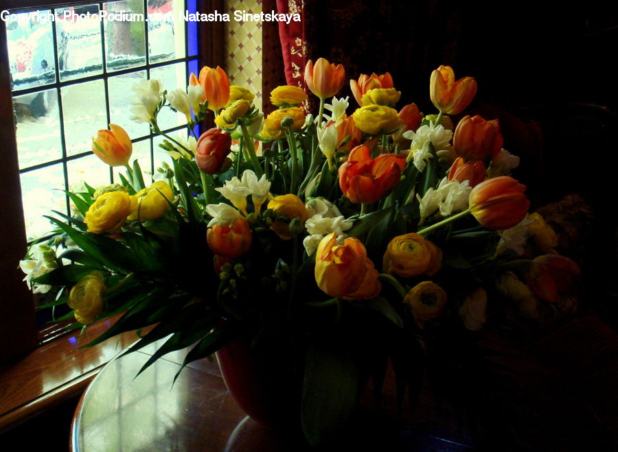 Floral Design, Flower, Flower Arrangement, Flower Bouquet, Ikebana, Blossom, Flora