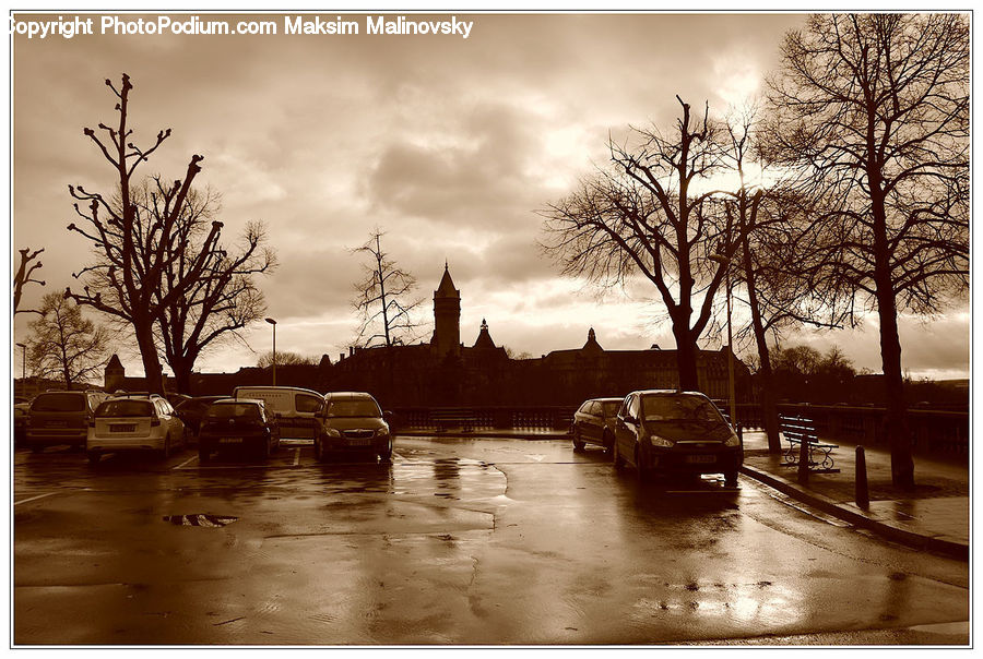 Flood, Automobile, Car, Vehicle, Plant, Tree, Bench
