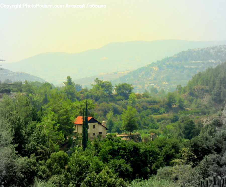 Building, House, Housing, Forest, Vegetation, Cottage, Landscape