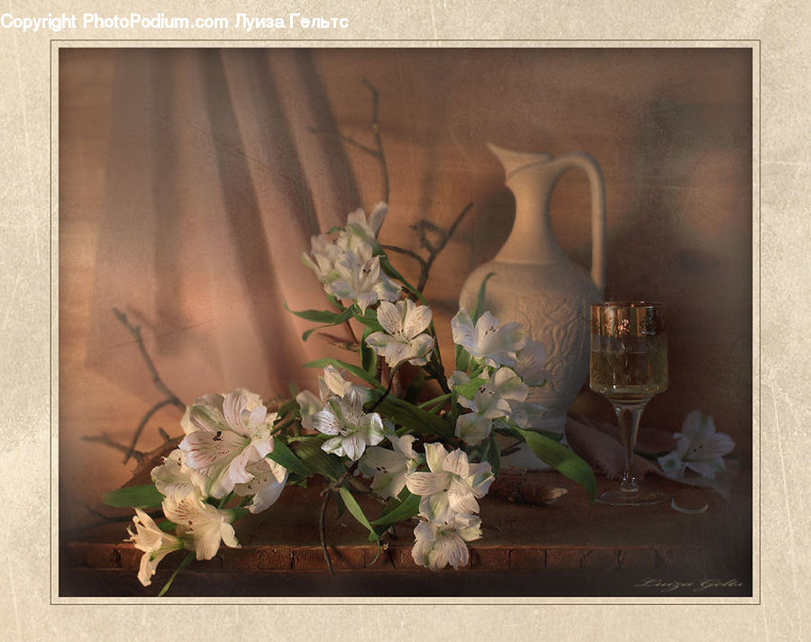 Plant, Potted Plant, Flower Arrangement, Ikebana, Vase, Flora, Flower