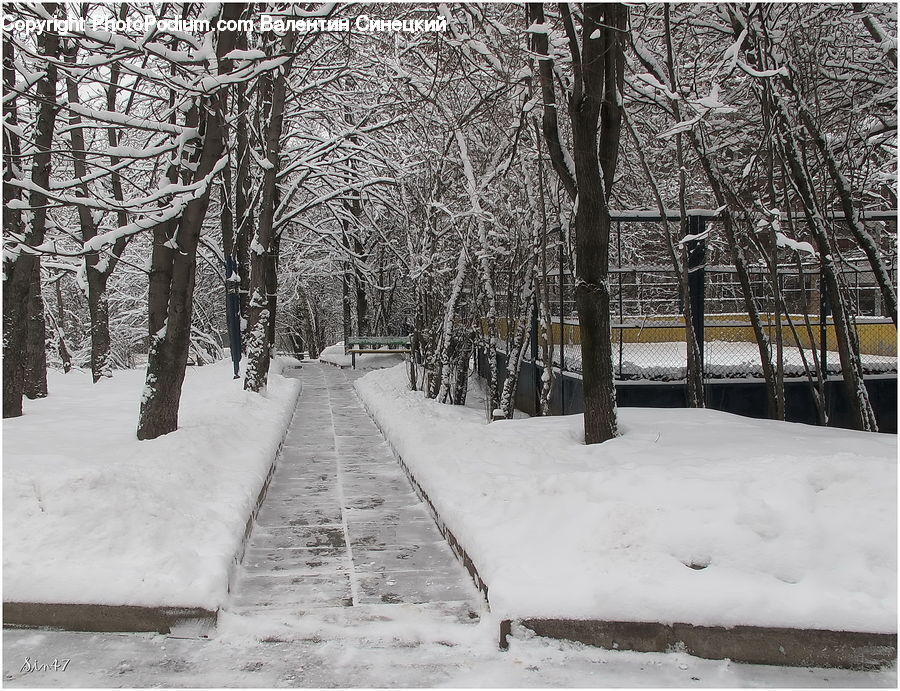 Ice, Outdoors, Snow, Boardwalk, Path, Pavement, Sidewalk