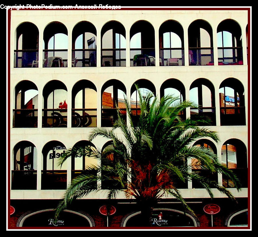 Plant, Potted Plant, Window, Collage, Poster, Building, Housing