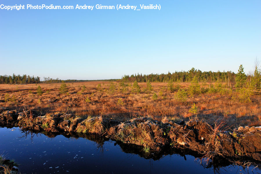 Land, Marsh, Pond, Swamp, Water, Nature, Outdoors