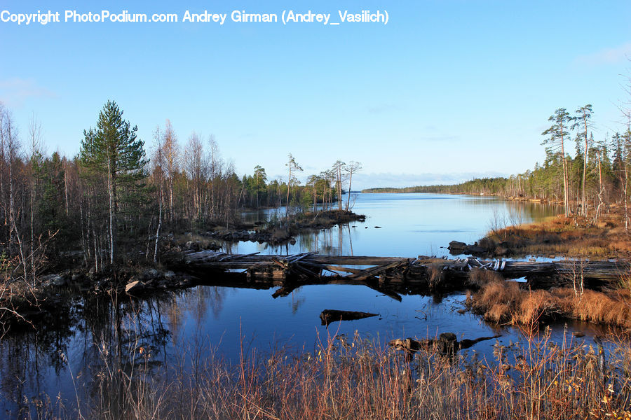 Land, Marsh, Outdoors, Swamp, Water, Pond, Grass