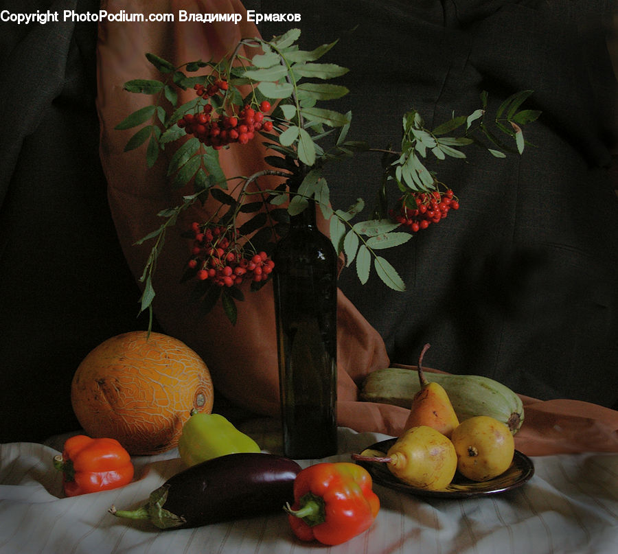 Plant, Potted Plant, Glass, Goblet, Vine, Bowl, Floral Design