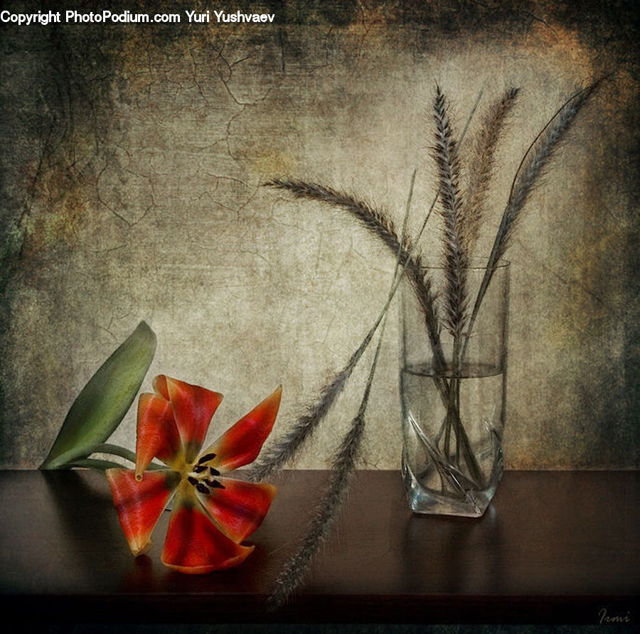 Flower Arrangement, Ikebana, Plant, Potted Plant, Vase, Paper, Flower