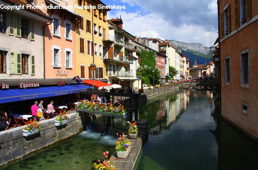 Canal, Outdoors, River, Water, Plant, Potted Plant, Boat
