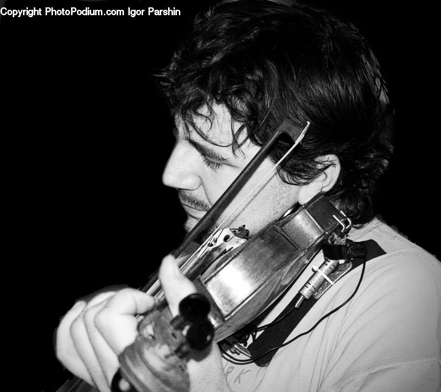 People, Person, Human, Fiddle, Musical Instrument, Viola, Violin