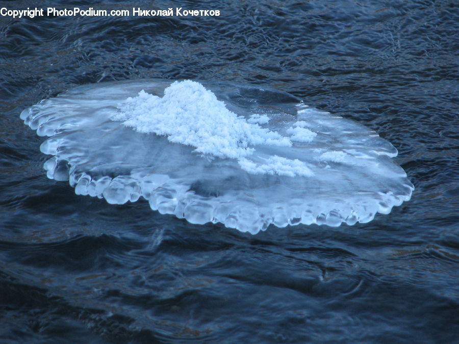 Arctic, Glacier, Ice, Mountain, Outdoors, Snow, Ocean