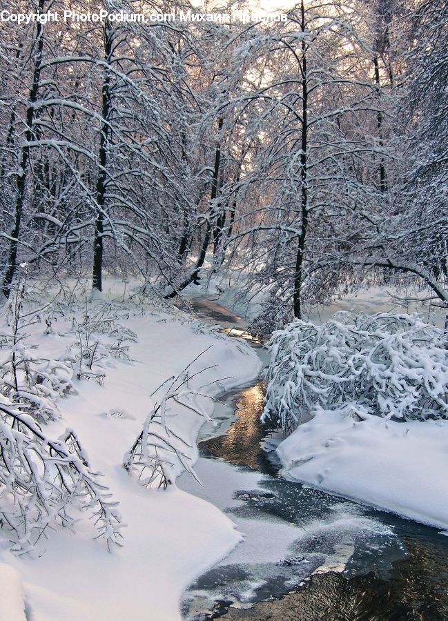 Ice, Outdoors, Snow, Landscape, Nature, Scenery, Forest