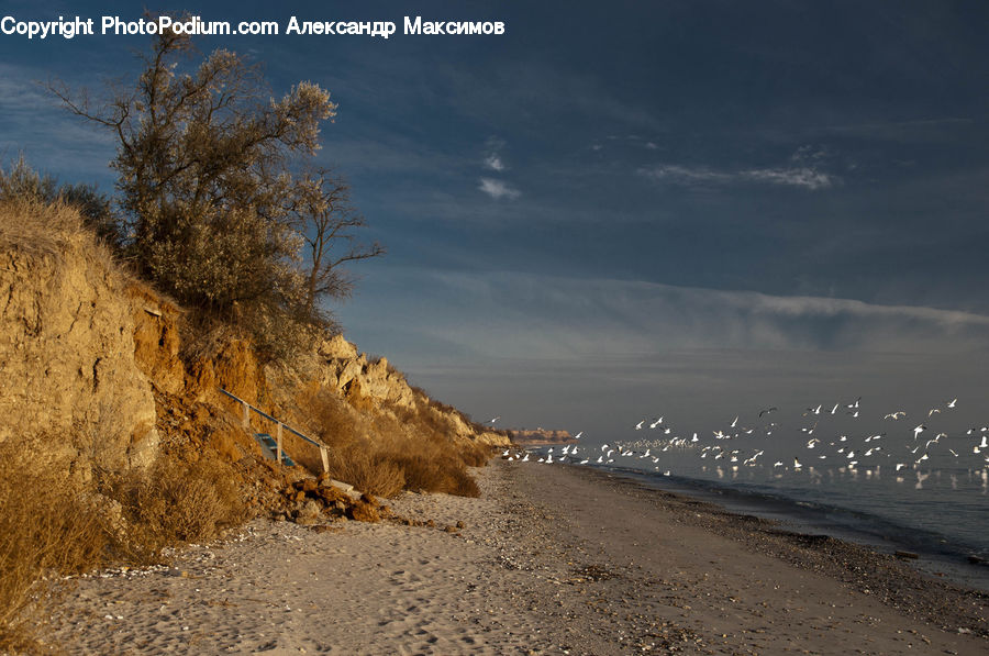 Dirt Road, Gravel, Road, Coast, Outdoors, Sea, Water