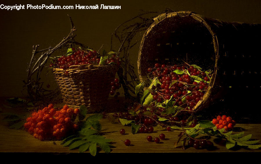 Basket, Plant, Potted Plant, Fruit, Strawberry, Flower Arrangement, Ikebana