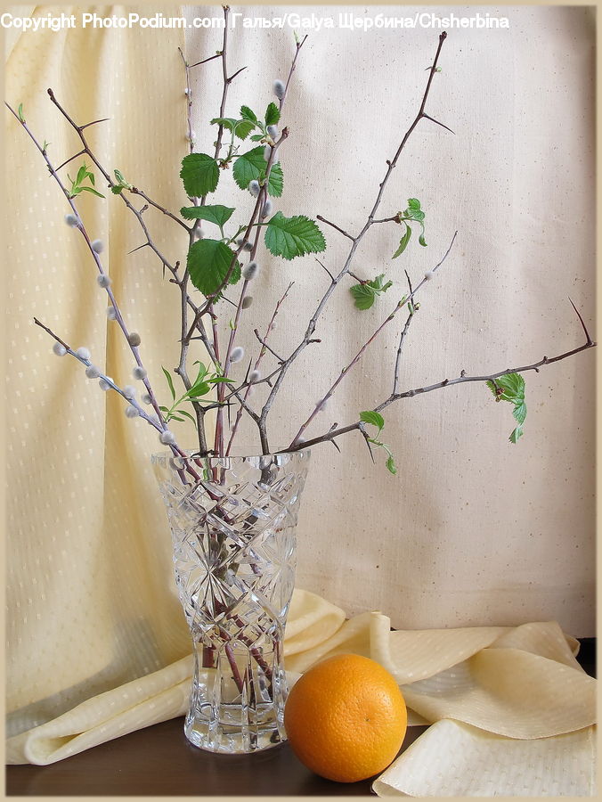 Citrus Fruit, Fruit, Orange, Flower Arrangement, Ikebana, Plant, Potted Plant