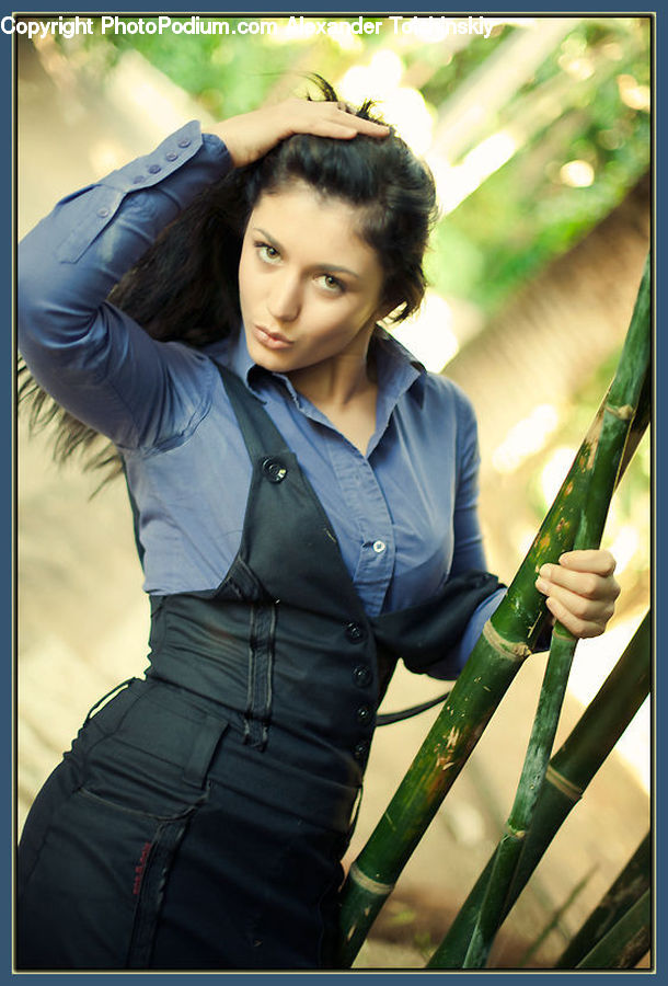 People, Person, Human, Bamboo, Plant, Wood, Bamboo Shoot