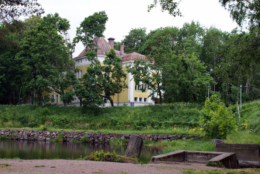 Plant, Potted Plant, Building, Housing, Villa, Tree, Architecture