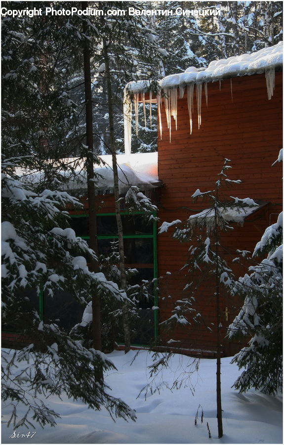 Ice, Outdoors, Snow, Building, Cabin, Shelter, Conifer