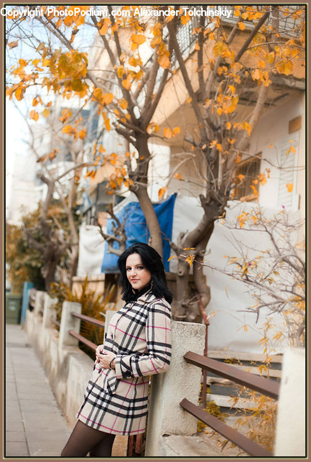 People, Person, Human, Plant, Potted Plant, Portrait
