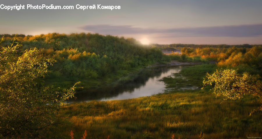 Outdoors, Pond, Water, Field, Grass, Grassland, Land