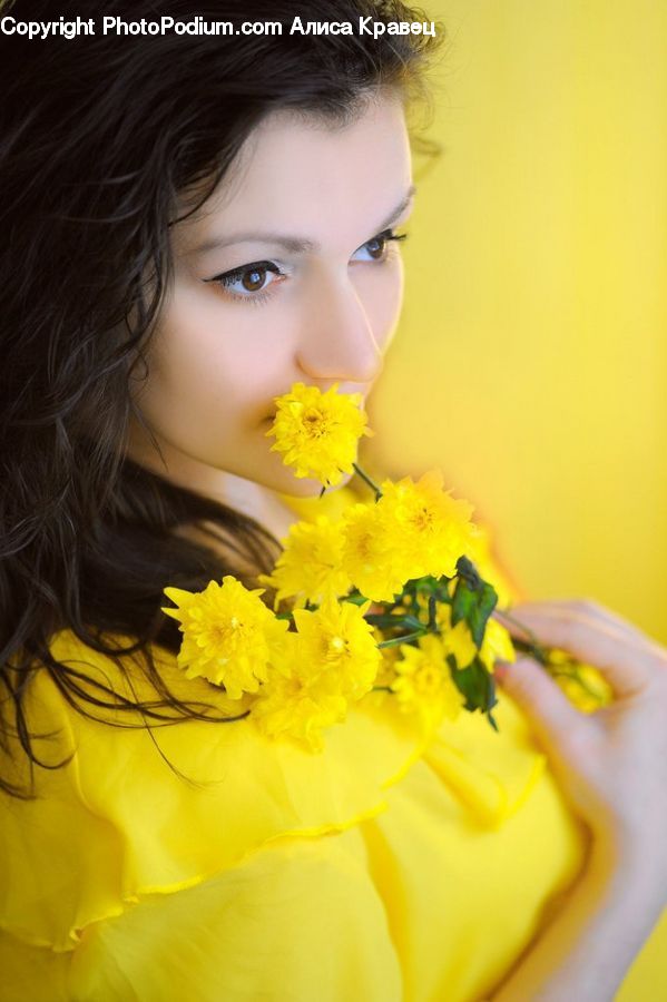 Human, People, Person, Bridesmaid, Daisies, Daisy, Flower