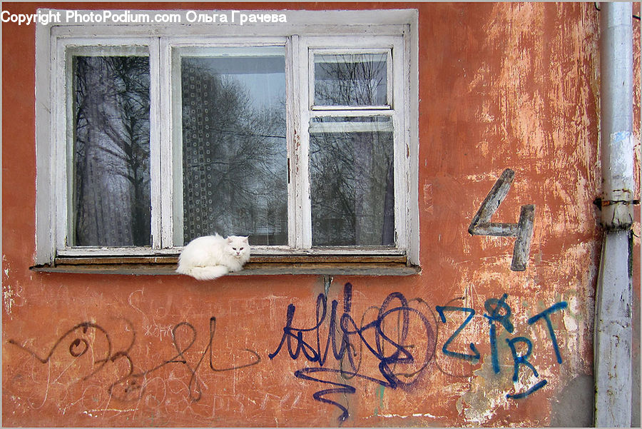 Window, Animal, Cat, Mammal, Pet, Rust, Brick