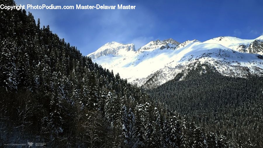 Alps, Crest, Mountain, Peak, Mountain Range, Outdoors, Forest
