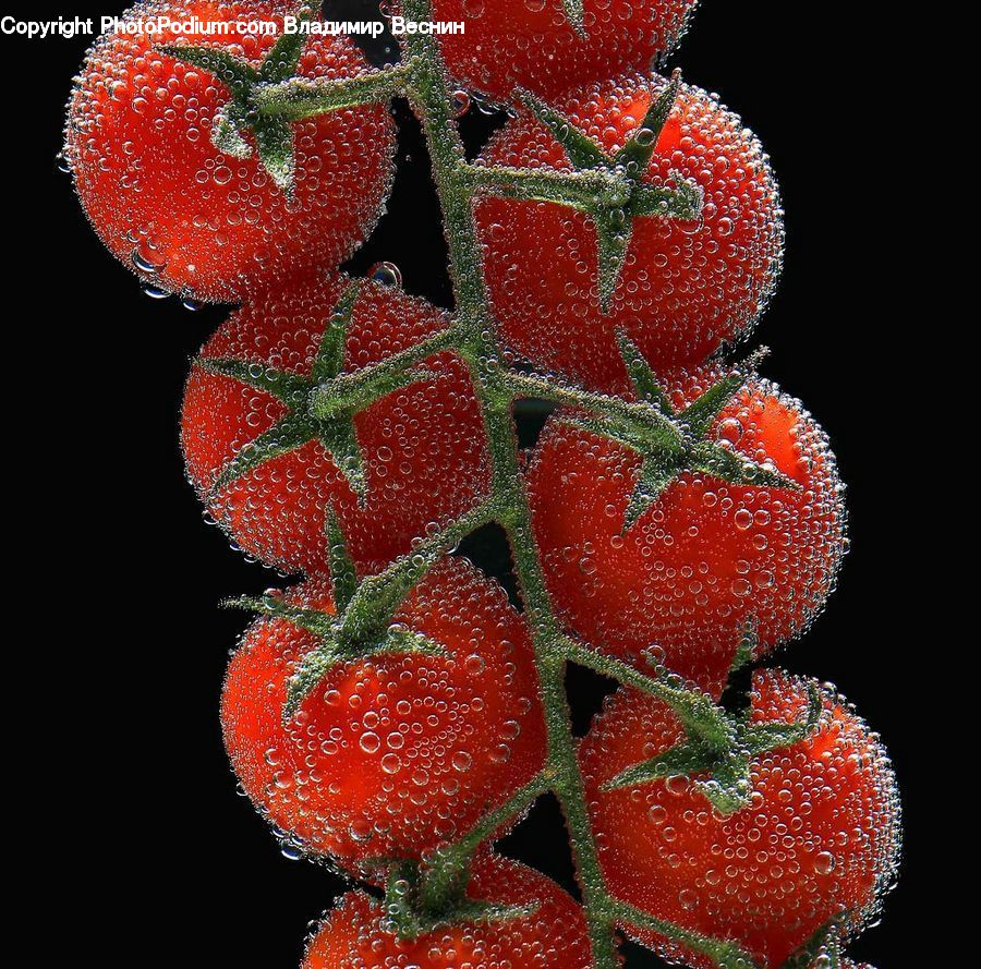 Frost, Ice, Outdoors, Snow, Fruit, Strawberry, Plant