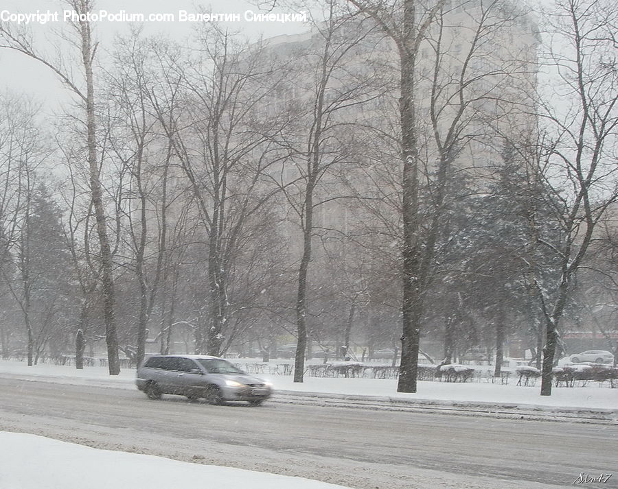 Automobile, Car, Vehicle, Blizzard, Outdoors, Snow, Weather