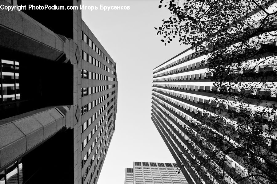 Architecture, City, Downtown, High Rise, Skyscraper, Urban, Building
