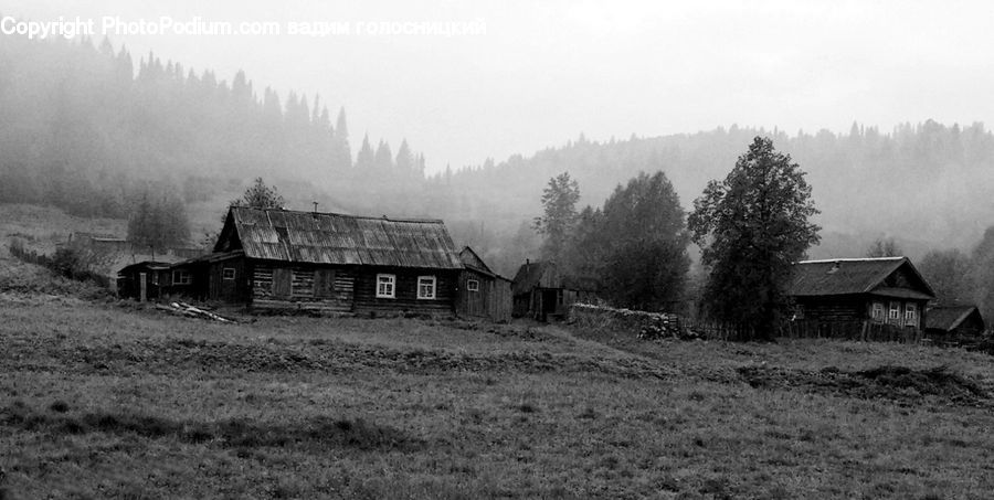 Cabin, Hut, Rural, Shack, Shelter, Countryside, Farm