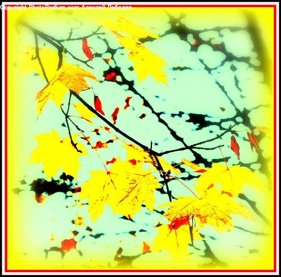 Art, Modern Art, Collage, Poster