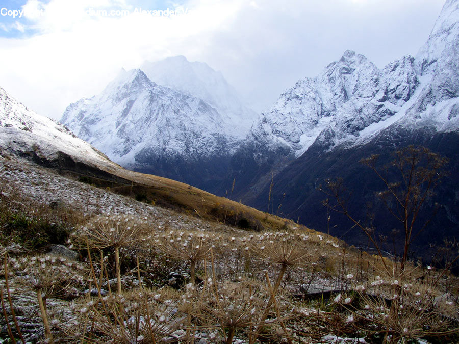 Arctic, Glacier, Ice, Mountain, Outdoors, Snow, Mountain Range