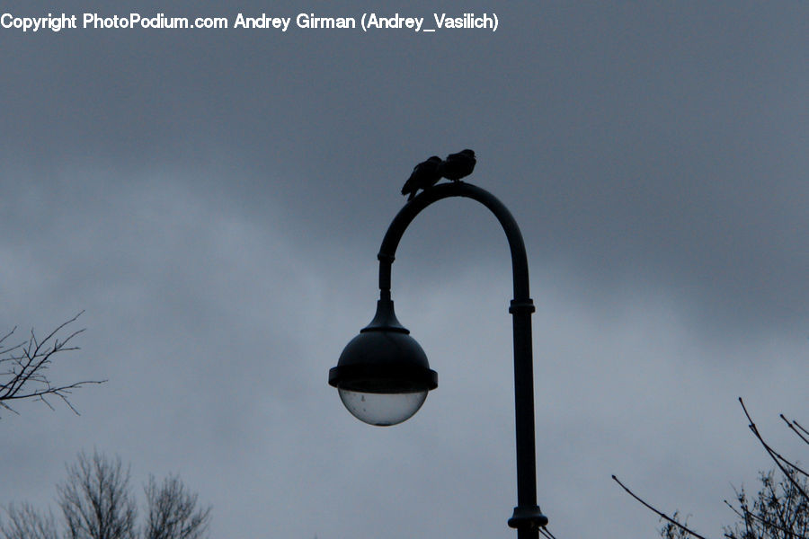 Lamp Post, Pole, Light Fixture, Architecture, Bell Tower, Clock Tower, Tower