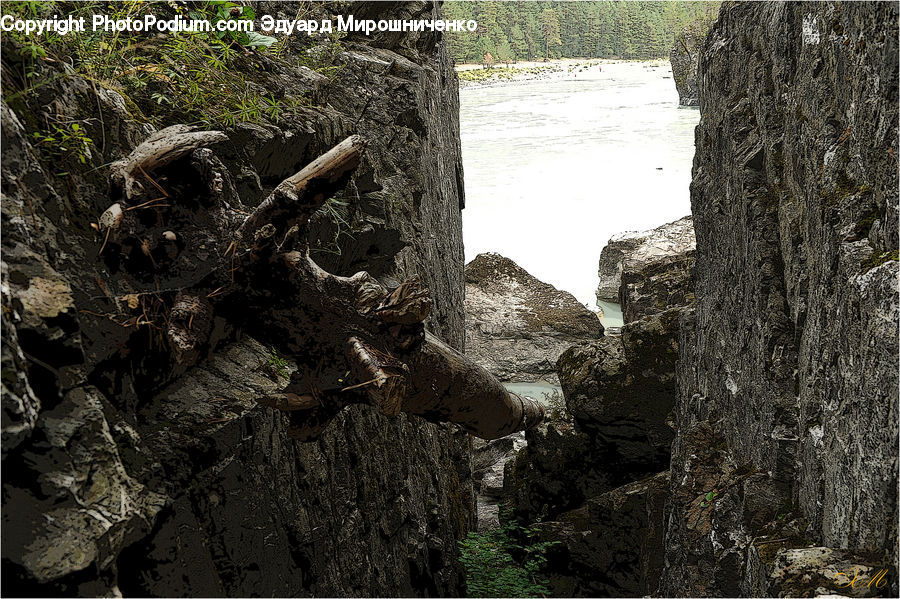 Tomb, Rock, Outdoors, Forest, Jungle, Rainforest, Vegetation