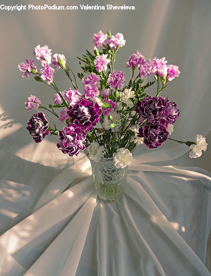 Flower, Flower Arrangement, Flower Bouquet, Blossom, Peony, Plant, Floral Design