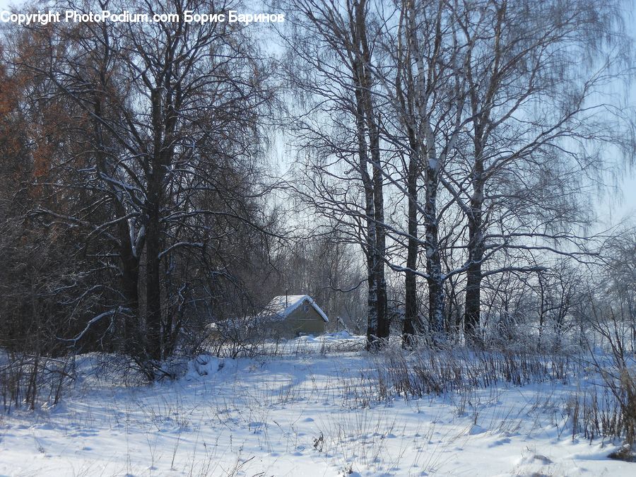 Cabin, Hut, Rural, Shack, Shelter, Ice, Outdoors