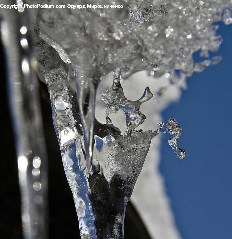 Ice, Icicle, Snow, Winter, Outdoors, Birch, Tree