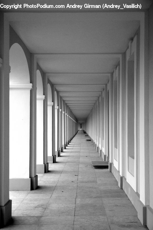 Corridor, Column, Pillar, Arch, Vault Ceiling