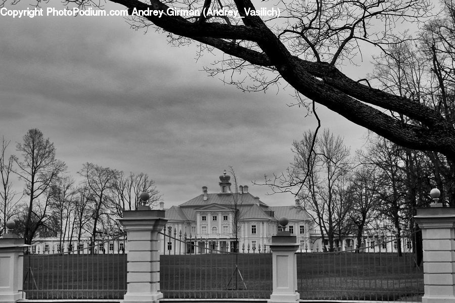 Plant, Tree, Building, Housing, Villa, Fence, Architecture